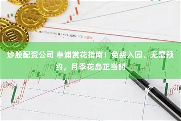 炒股配资公司 奉浦赏花指南！免费入园、无需预约，月季花岛正当时
