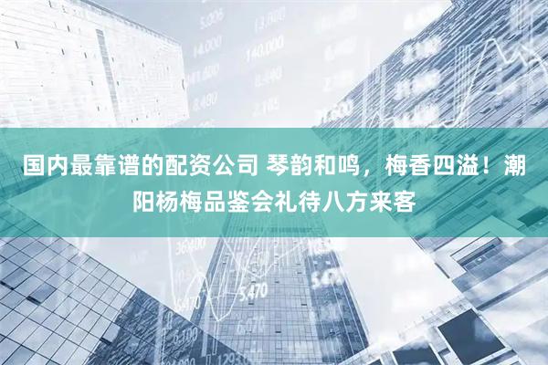 国内最靠谱的配资公司 琴韵和鸣，梅香四溢！潮阳杨梅品鉴会礼待八方来客